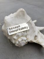 ⁦שרשרת יונית⁩ – תמונה ⁦2⁩