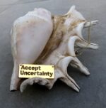 ⁦שרשרת יונית⁩ – תמונה ⁦3⁩