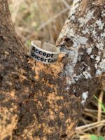 ⁦טבעת כסף עבה פתוחה⁩ – תמונה ⁦3⁩