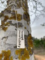 ⁦שרשרת ואלרי⁩ – תמונה ⁦2⁩