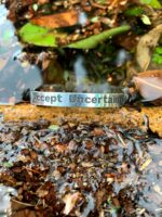 ⁦צמיד קשיח כסף 925⁩ – תמונה ⁦3⁩