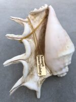 ⁦שרשרת ואלרי⁩ – תמונה ⁦3⁩